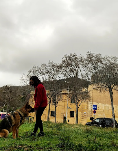 Tu Ladrido y Mi Voz | Adiestradores de perros en Barcelona