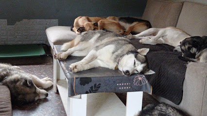 Casa Teva | Guardería para perros en Vallirana