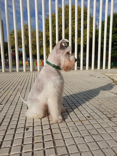 Adiestramiento Canino | Adiestradores de perros en Huelva