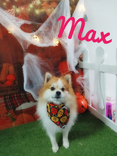 Pequeña Lula | Peluqueria para perros en Serranillos del Valle