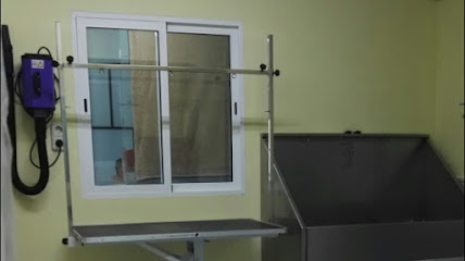 La Perru | Peluqueria para perros en Vallirana