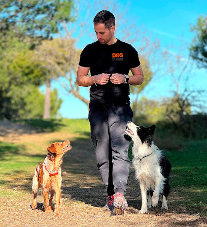 Dos Adiestramiento | Adiestradores de perros en Valladolid