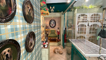 Gentlecan - Perros Estilosos | Peluqueria para perros en Madrid