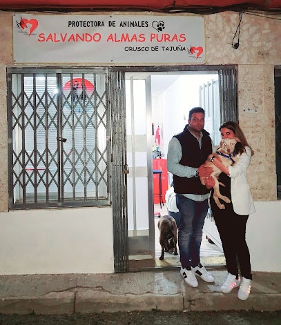 CMR | Adiestradores de perros en Orusco de Tajuna