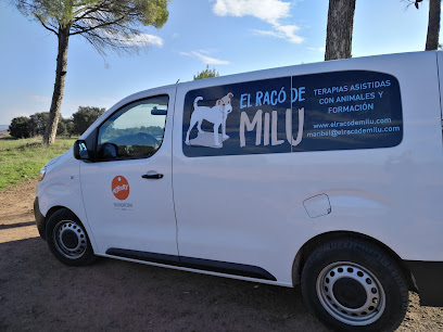 EL RACO DE MILU | Guardería para perros en Manresa