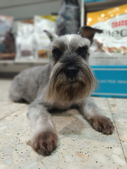 Kalulo | Peluqueria para perros en Madrid