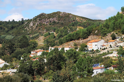 Protectora de perros de Ourense | Ourense