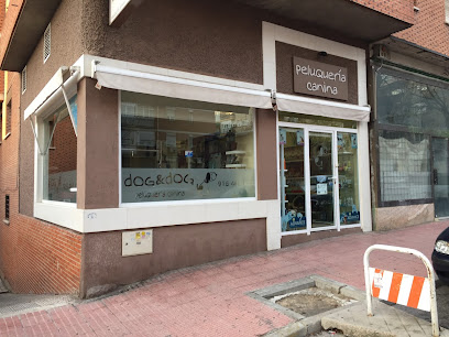 Dog&Dog | Peluqueria para perros en Móstoles