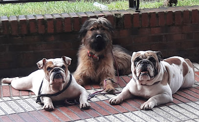 Kangune | Adiestradores de perros en Beasain