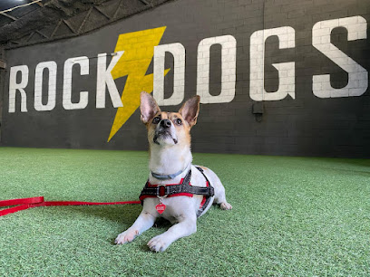 Rock & Dogs | Adiestradores de perros en Sant Vicent del Raspeig