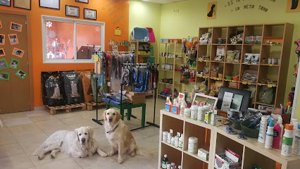 Másqpelos | Peluqueria para perros en Getafe