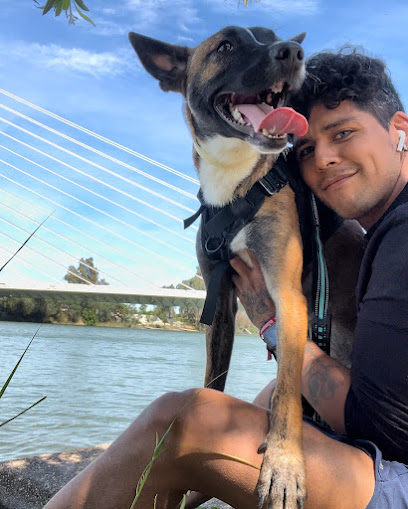 Club-Can | Adiestradores de perros en Sevilla