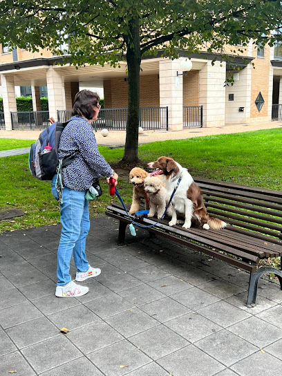 LUCÍA FERNÁNDEZ ROSA | Adiestradores de perros en Gijon