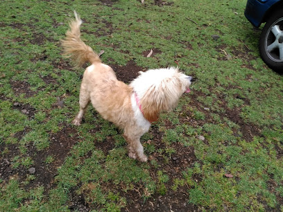 Dogs Paradise | Guardería para perros en Ravelo El Sauzal