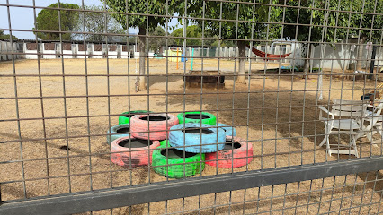 Can Ninos | Guardería para perros en Caldes de Montbui