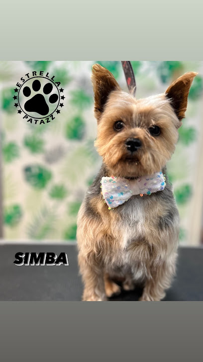 Estrella Patazz | Peluqueria para perros en Cártama