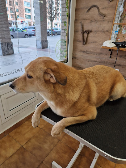 Petfactory | Peluqueria para perros en Oviedo