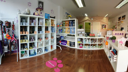 Momo | Peluqueria para perros en Arroyomolinos