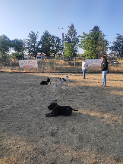 Balucan | Adiestradores de perros en Ibeas de Juarros