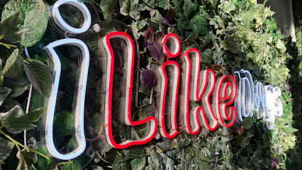 Ilikedogs | Peluqueria para perros en Aspe