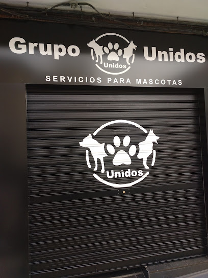 Unidos | Guardería para perros en Alzira