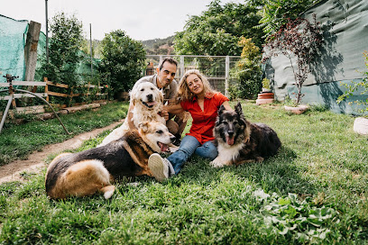 Valdeguau | Adiestradores de perros en Valdeguau