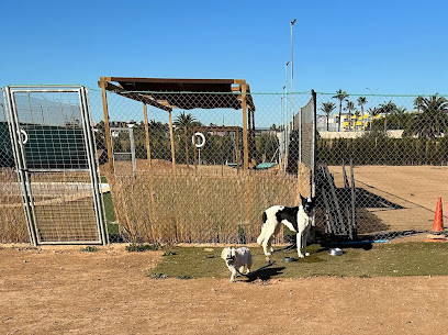 Centro Canino Valentía | Adiestradores de perros en El Real de Gandia
