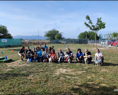 Arcanes | Adiestradores de perros en Valencia