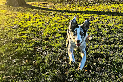 Colmillo Blanco | Guardería para perros en La Estacion