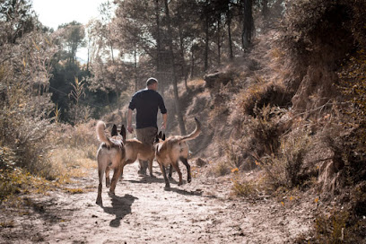 Ulecan | Adiestradores de perros en Sant Cristofol