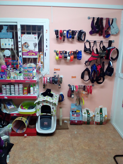 Els Mimats | Peluqueria para perros en Barcelona
