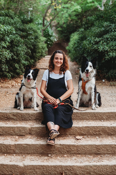 Bedog | Adiestradores de perros en Badalona