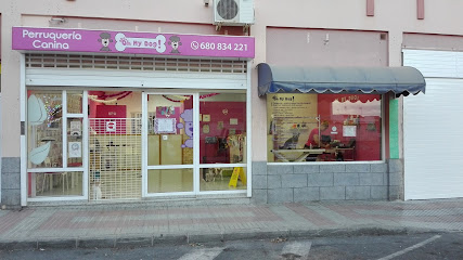 Oh My Dog! | Peluqueria para perros en San Bartolomé de Tirajana