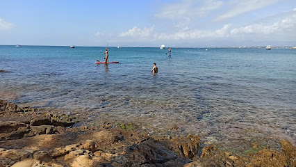 Criador de Gossos De l