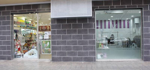 Castellón | Peluqueria para perros en Castellón de la Plana