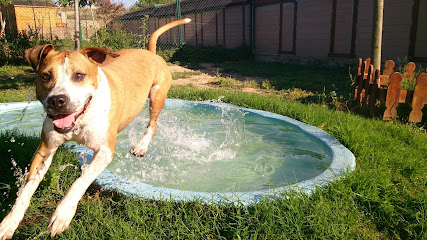 Can Fauna | Guardería para perros en Banyeres del Penedes