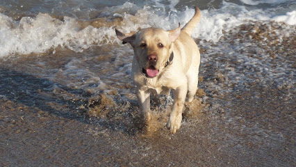 HOCIKYTO | Guardería para perros en Rebolledo