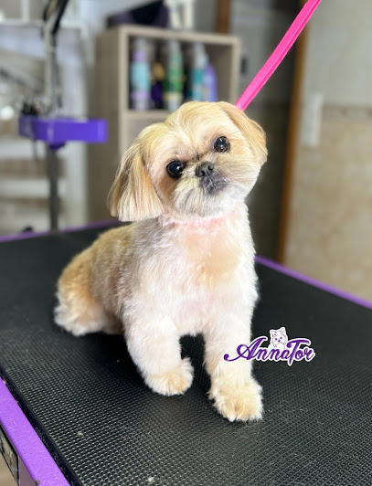 Annator | Peluqueria para perros en San Sebastián