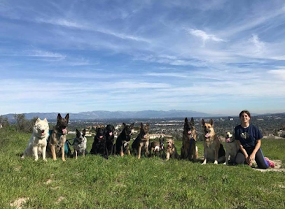 Adiestrador Canino Pamplona | Adiestradores de perros en Pamplona