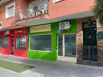 El Ladrido | Peluqueria para perros en El Álamo