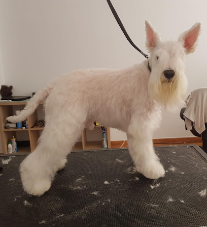 Maria Lobay | Peluqueria para perros en Los Palacios y Villafranca