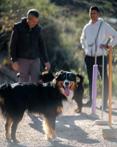 Casa Lobo | Guardería para perros en Felix