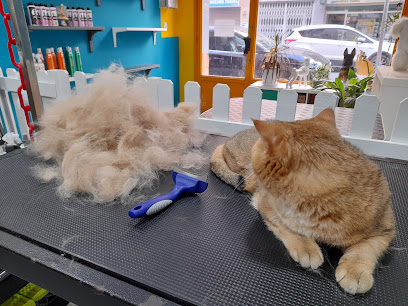 Los Tutis | Peluqueria para perros en Barcelona