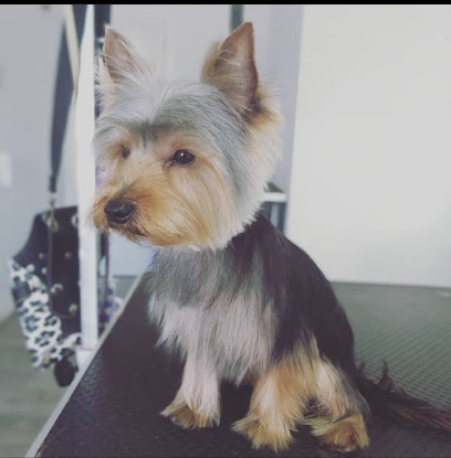 Guau, Vaya Pelos! | Peluqueria para perros en Sevilla