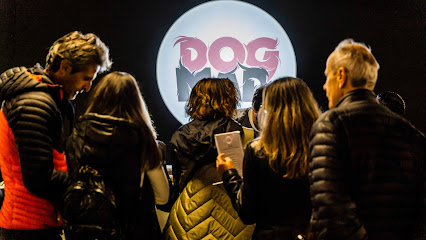DogMadrid | Adiestradores de perros en Pozuelo de Alarcon