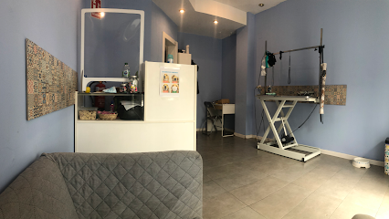 La Marquesa | Peluqueria para perros en Alicante