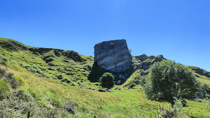 Campo Adiestramiento | Santa Maria de Cayon