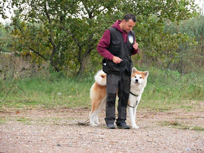 Vinculocanino | Adiestradores de perros en L