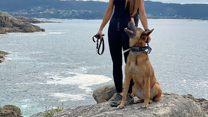 Acaracan | Adiestradores de perros en Pontevedra