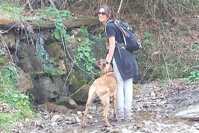 MAXIS K9 | Adiestradores de perros en Sencelles